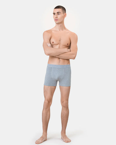 Pack of 2 Midway briefs - gray