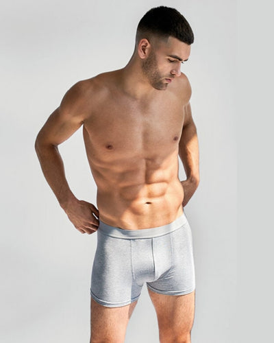 Boxer briefs-gray